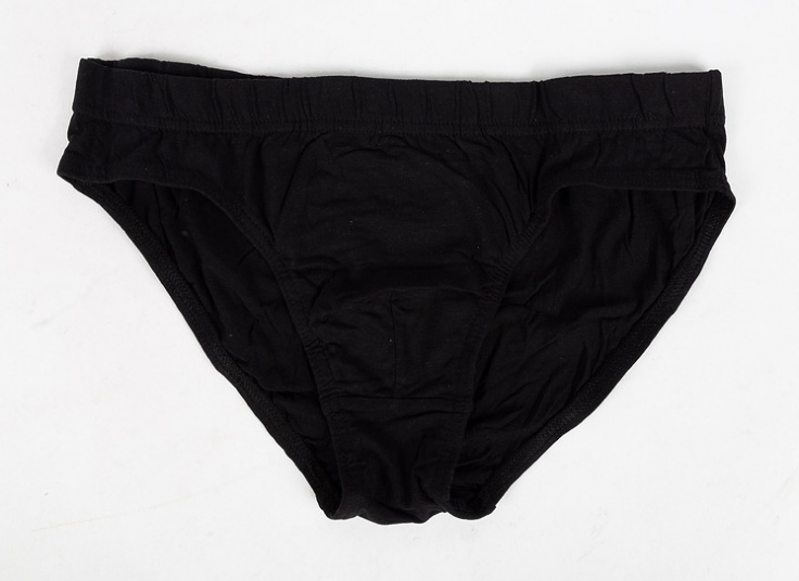 لباس زیر مردانه اسلیپ Cedar Wood State