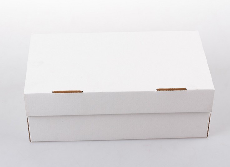 کفش مردانه SAFIR