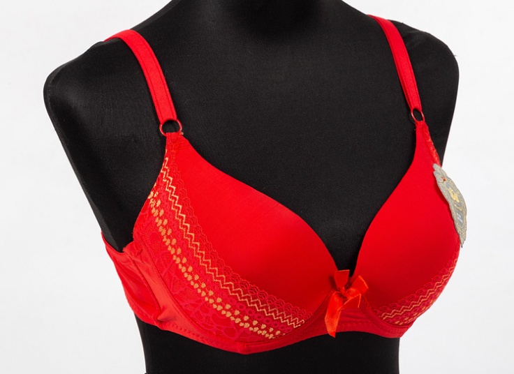 لباس زیر Rose Swan