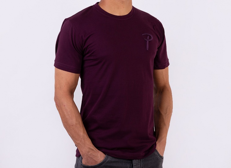 تیشرت آستین کوتاه مردانه طرح POLO