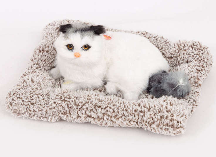 عروسک گربه بالشتی صدادار