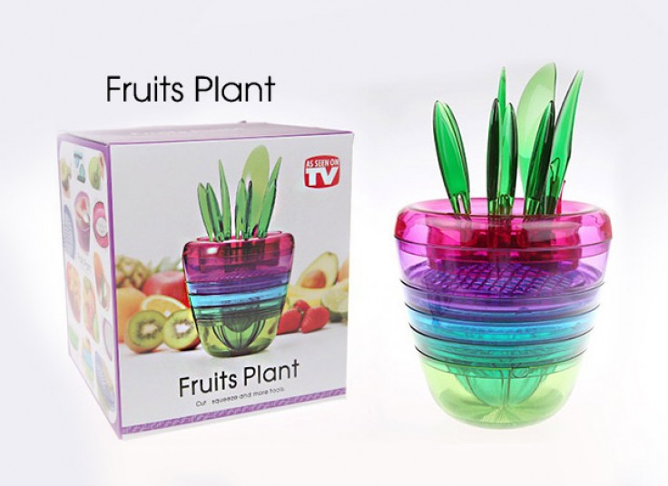 گلدان جادویی Fruits Plant