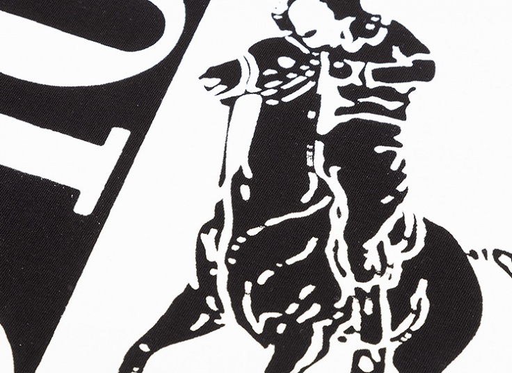 تیشرت طرحدار POLO