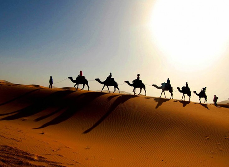 تور کویر مصر