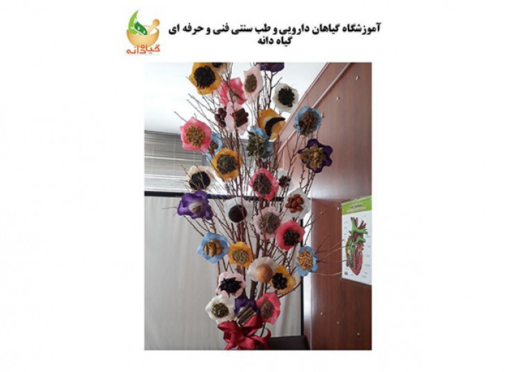 جشنواره گیاهان دارویی در گیاه دانه