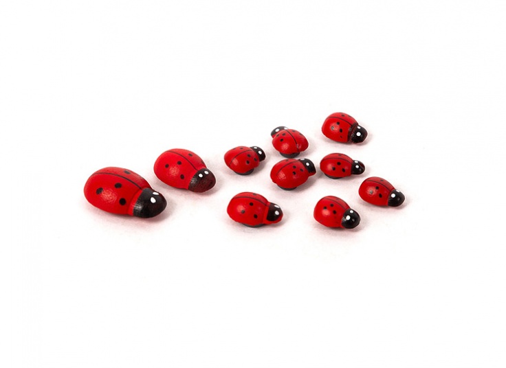 بسته 10 عددی مگنت طرح کفشدوزک