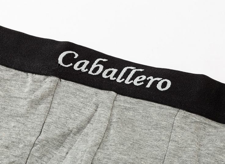 لباس زیر مردانه Caballero