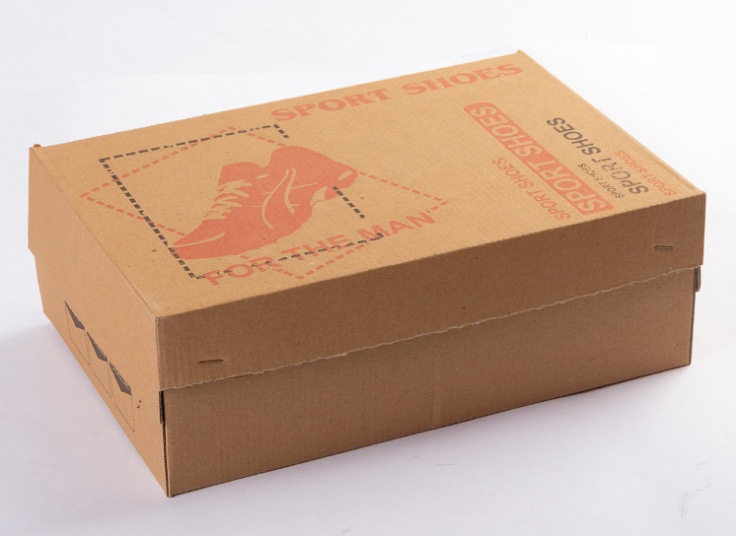 کفش راحتی مردانه Reebok