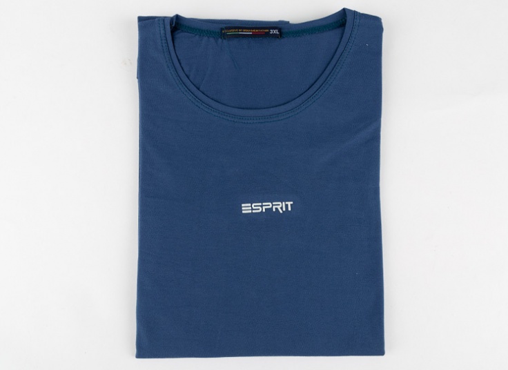 تیشرت رنگی مردانه Esprit