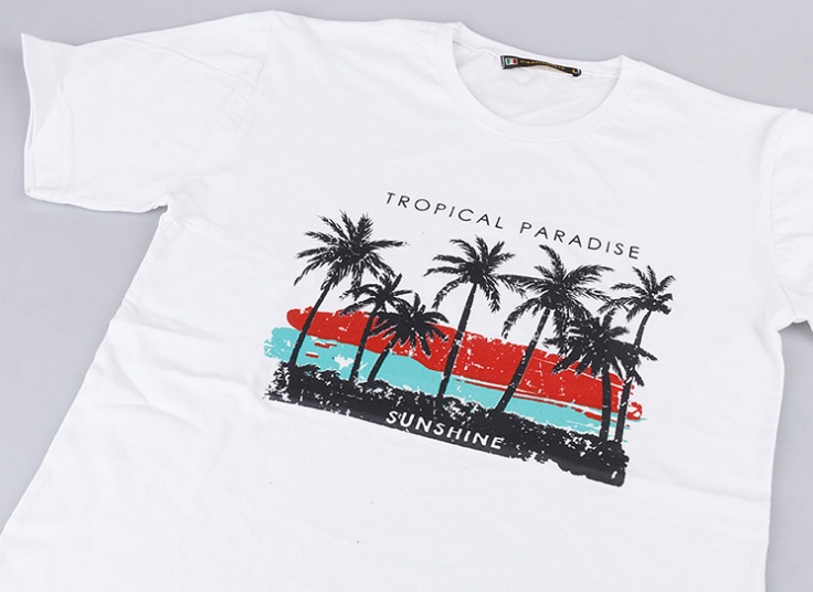 تیشرت آستین کوتاه مردانه Classic