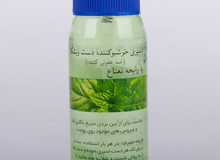 اسپری ضدعفونی کننده دست ویشکا