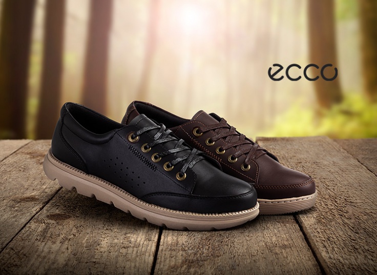 کفش اسنیکرز مردانه Timberland