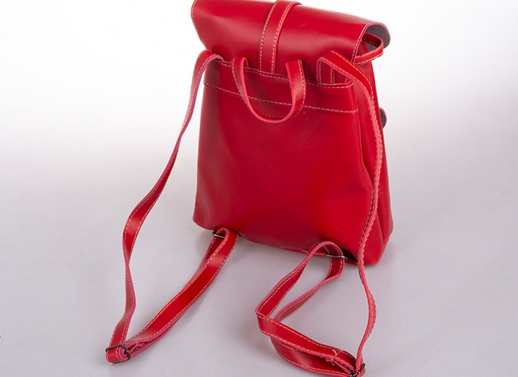 کوله پشتی چرمی زنانه Stylish