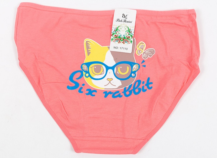 لباس زیر زنانه Pink Pasuion