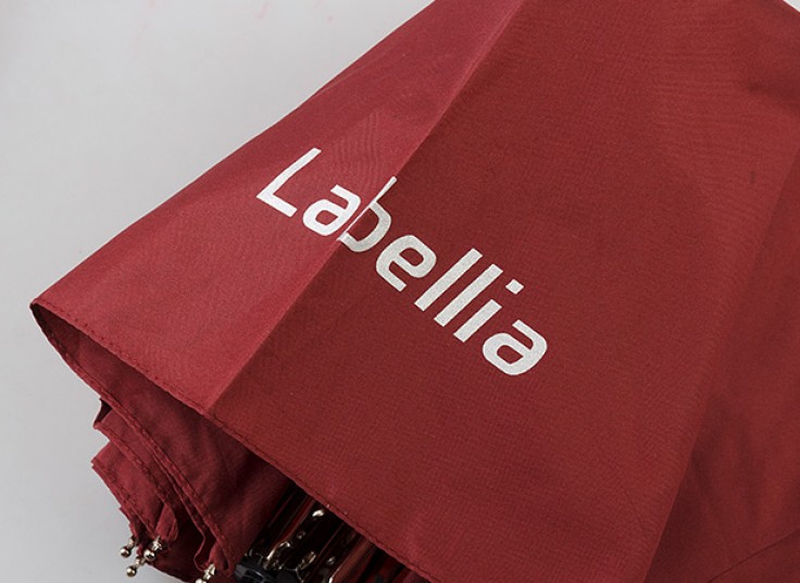 چتر اتوماتیک Schwan