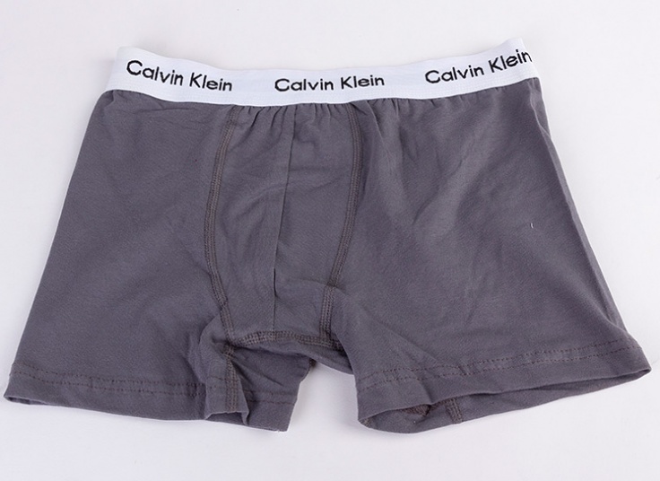 لباس زیر مردانه باکسر Calvin Klein