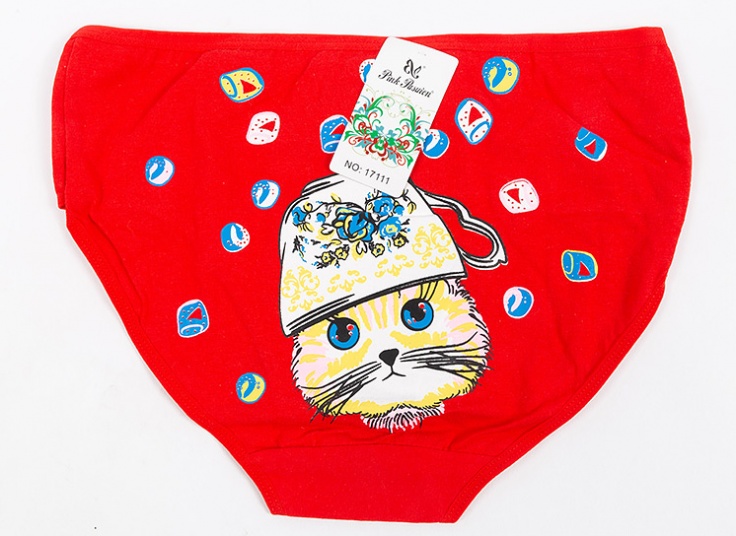 لباس زیر زنانه Pink Pasuion