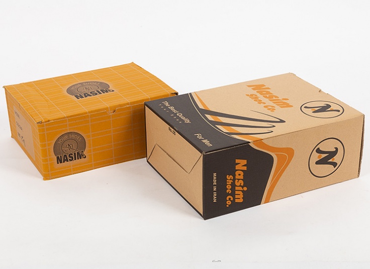 کفش کوهنوردی Nasim