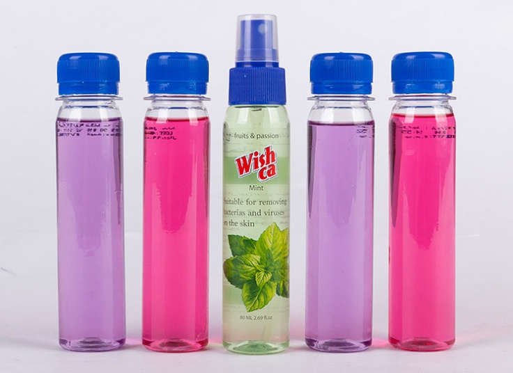 اسپری ضدعفونی کننده دست ویشکا