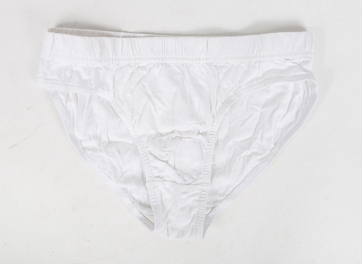 لباس زیر مردانه اسلیپ Cedar Wood State