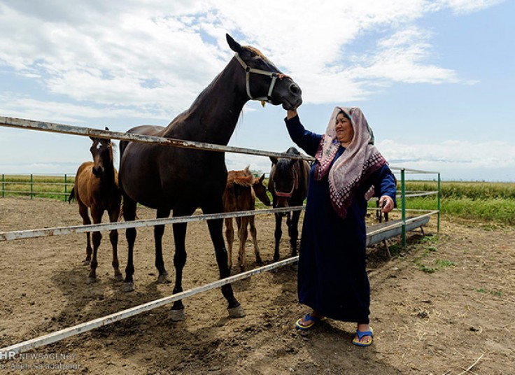 تور های نوروزی آژانس همسفران سینا