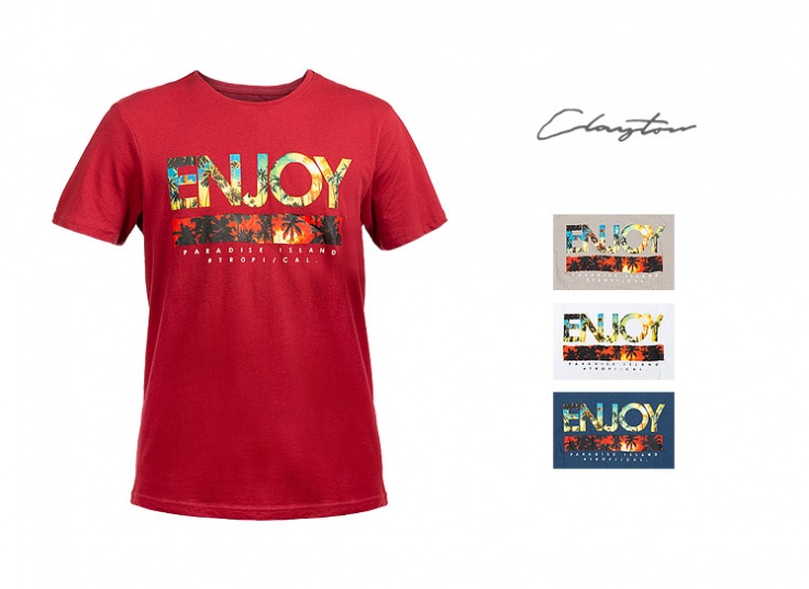 تیشرت مردانه ClayTon