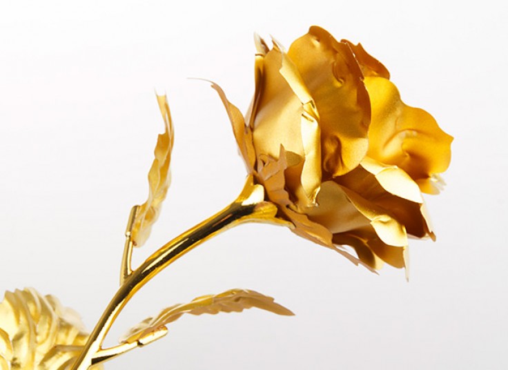 گل رز طلایی Rose Story