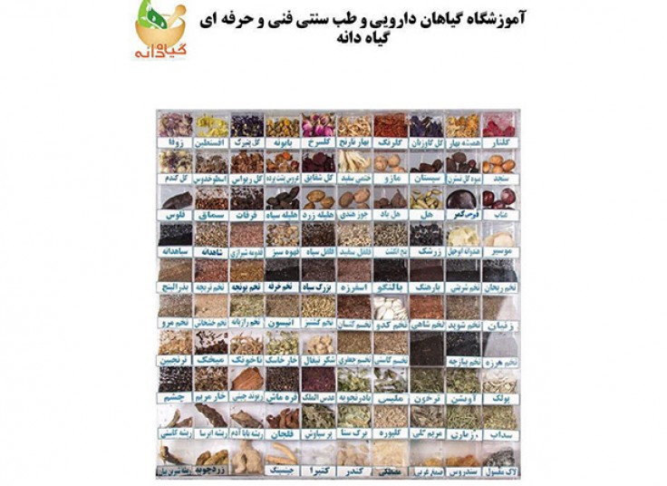 جشنواره گیاهان دارویی در گیاه دانه