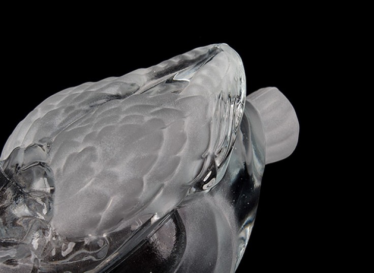 شکلات خوری قو