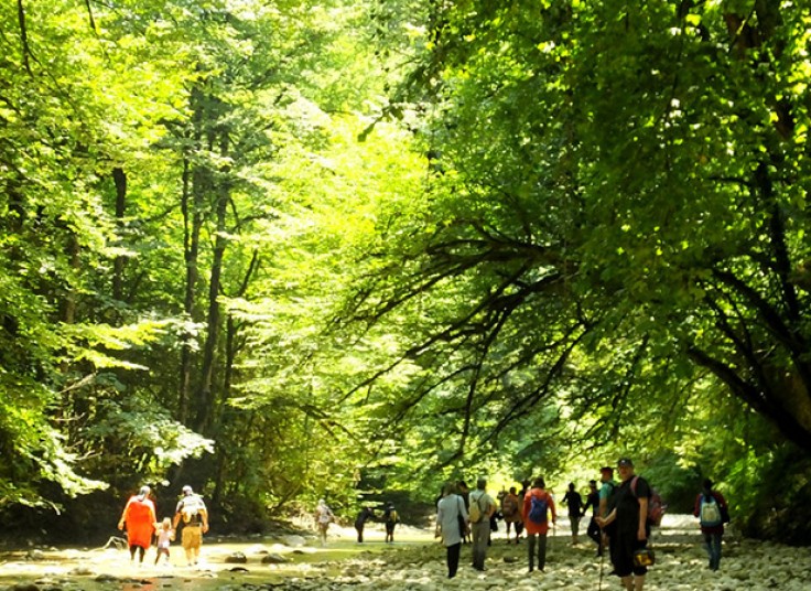 تورهای آژانس مسافرتی مهام