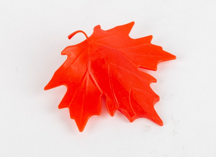 پادری طرح برگ