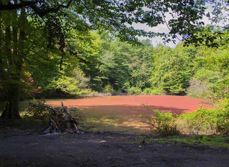 تورهای آژانس مسافرتی مهام