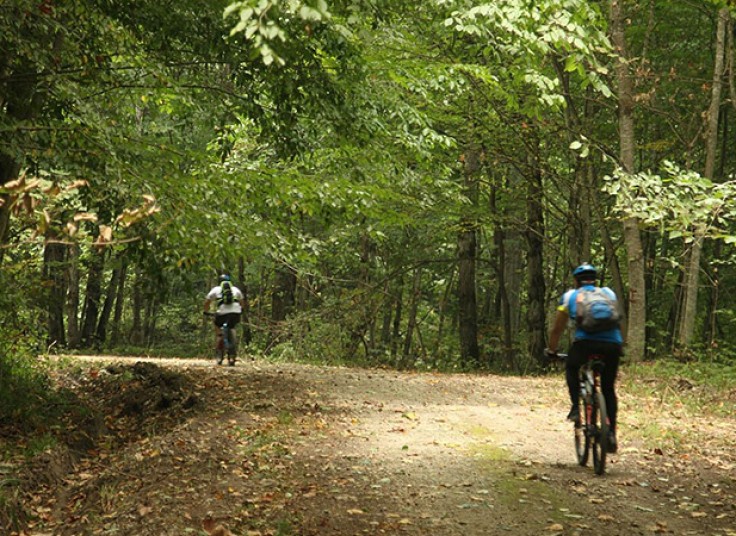 تور یک روزه سی سنگان با بیتا گشت