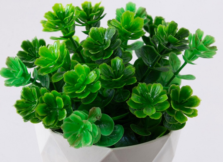 گلدان تزئینی شمشاد