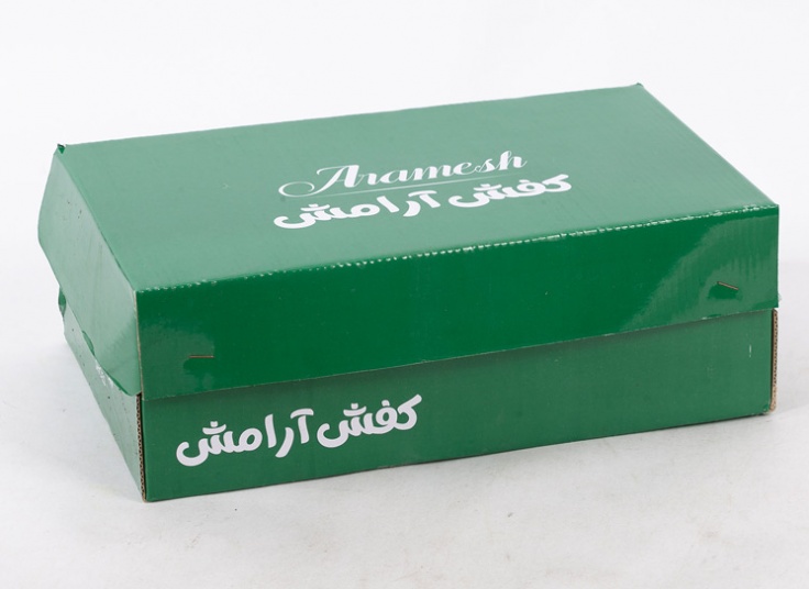 کتانی مردانه طرح Clarks