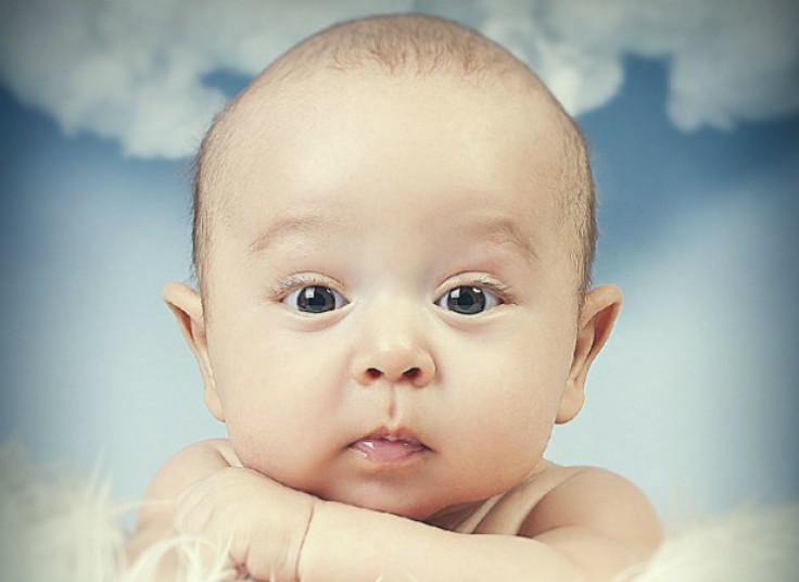 آتلیه عکاسی الفنت