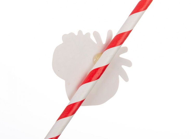 پکیج شش عددی نی کاغذی Fruity