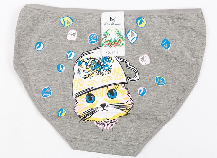 لباس زیر زنانه Pink Pasuion