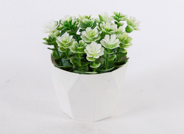 گلدان تزئینی شمشاد