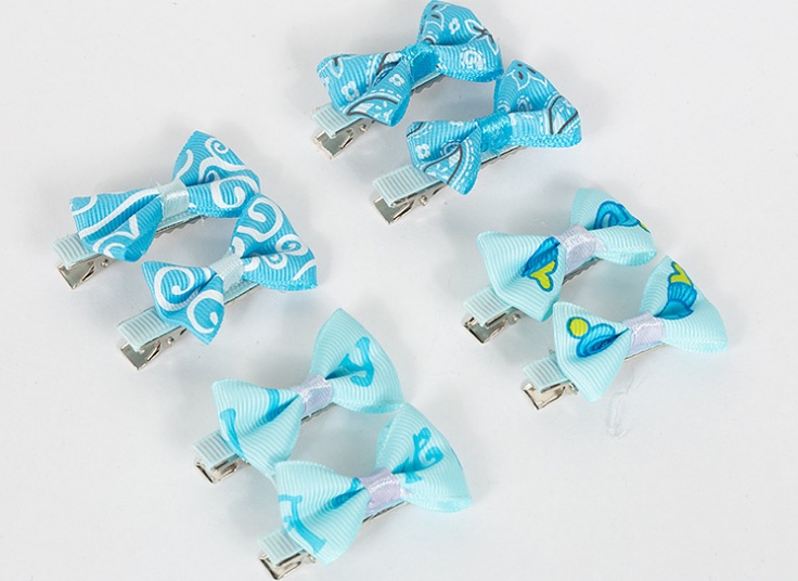 پک دو عددی گیره مو Fashion