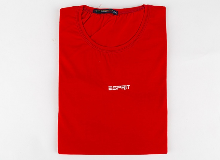 تیشرت رنگی مردانه Esprit