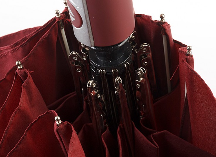 چتر اتوماتیک Schwan