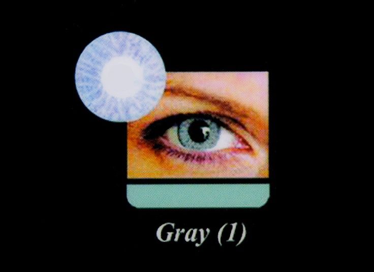 لنز چشم رنگی New Vision