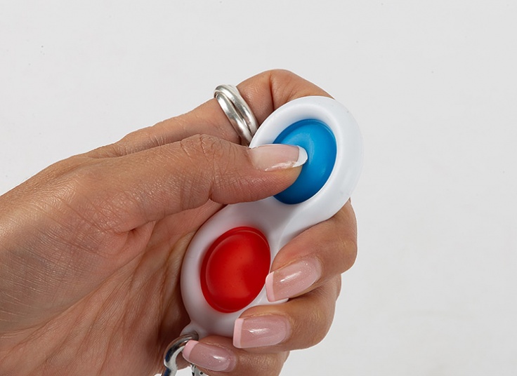 جاکلیدی پاپیت