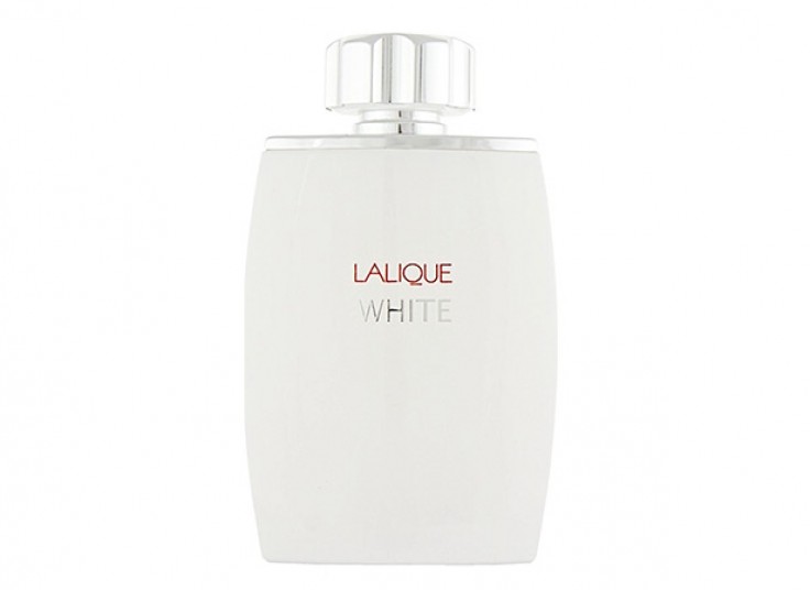 عطر و ادکلن طرح اصلی