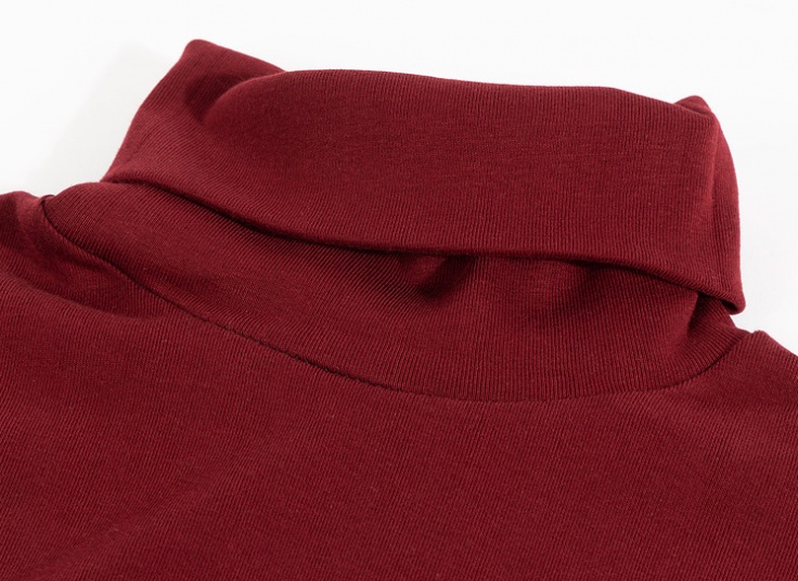 بلوز یقه اسکی Polo