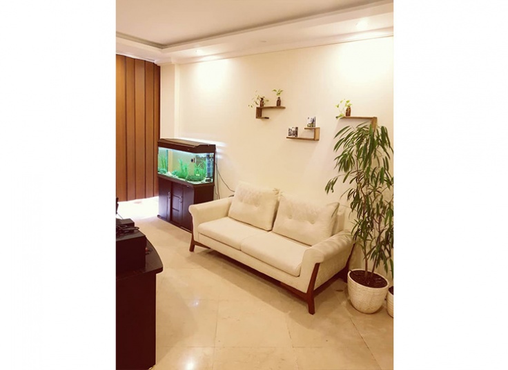 لیزر الکساندرایت پلاتینیوم درمرکز زیبایی درمانیکا