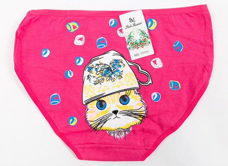 لباس زیر زنانه Pink Pasuion