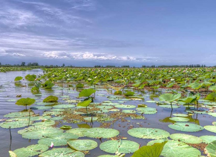 تورهای نوروزی سال 97 با خط سفر پارس