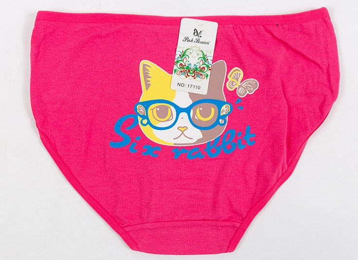 لباس زیر زنانه Pink Pasuion